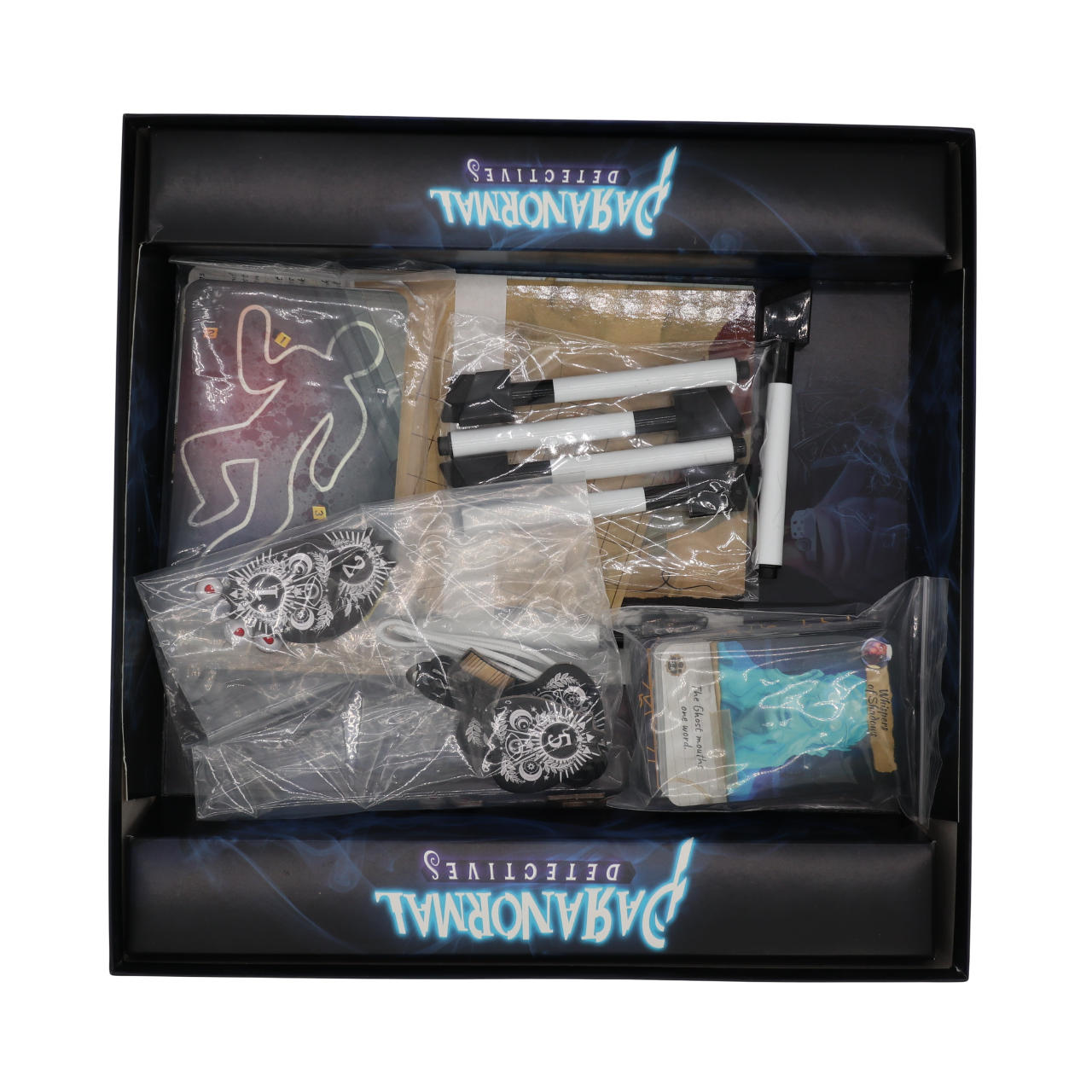 Paranormal Detectives (used)