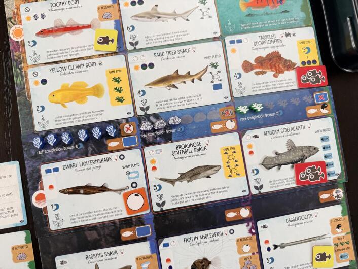 Finspan - Sharks & Reefs Expansion