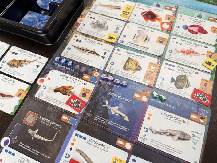 Finspan - Sharks & Reefs Expansion