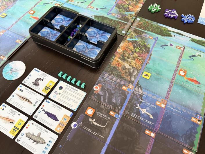 Finspan - Sharks & Reefs Expansion