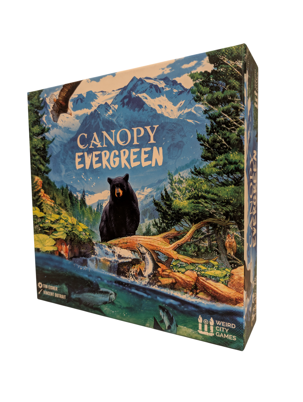 Canopy Evergreen (used)