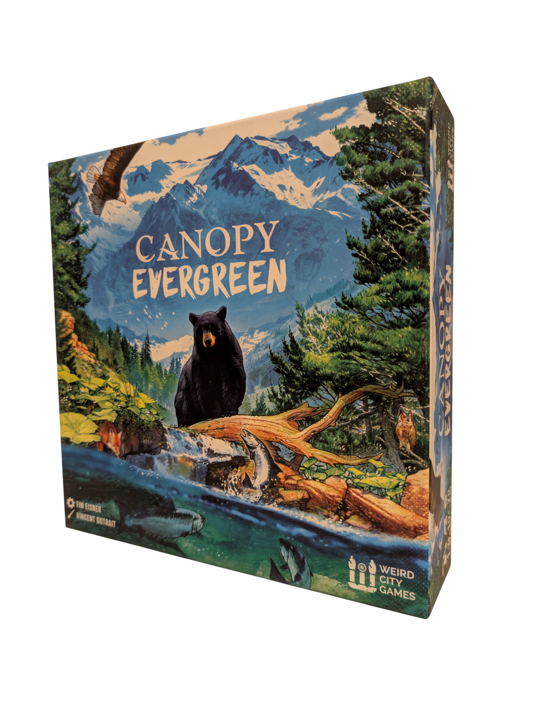 Canopy Evergreen (used)