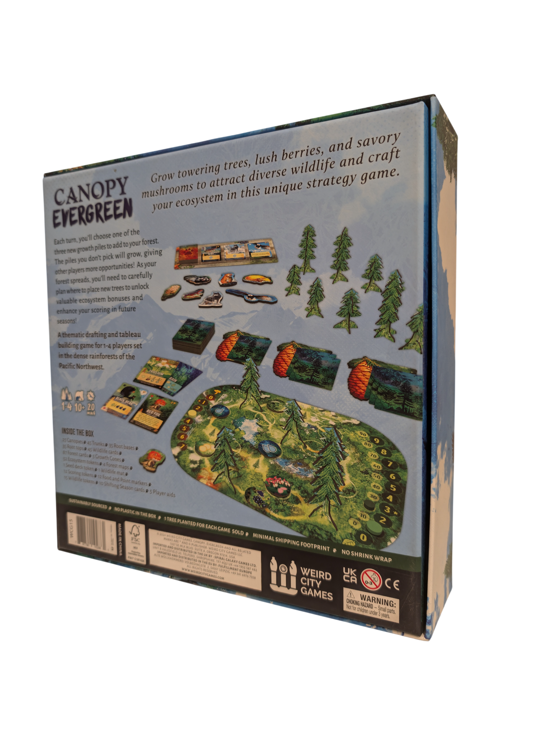 Canopy Evergreen (used)